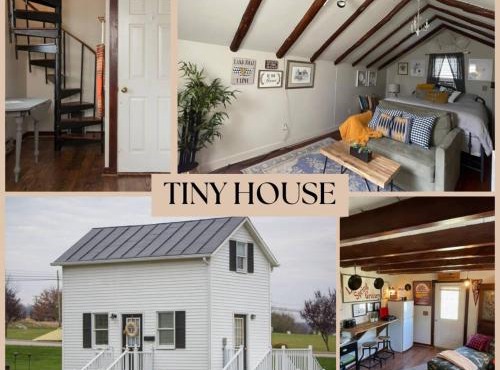 Cozy Tinyhouse JMUDowntown Fire Pit Yard
