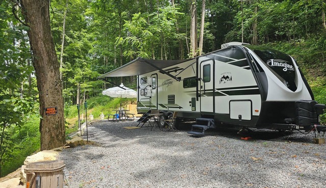 Cozy travel trailer with AC and lake access to beautiful Norris Lake