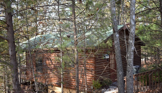 Cozy Tree house Cabin -Mins. from Branson-bfst-hot tub-winery-brewery