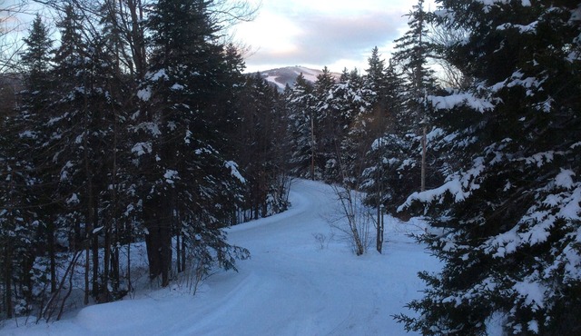 COZY TREE LIKE HOUSE. WALK TO MARKET & REST. LOW RATES. 1 MILE TO MT SNOW.