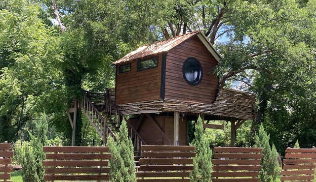 Cozy Treehouse on Lake Conroe w/large nest deck with a creek view