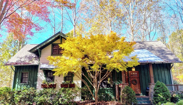 Cozy Treehouse-view cabin in HEART of Maggie Valley w/golf, pool & onsite dining