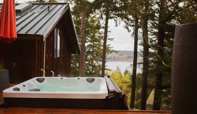 Cozy Treetop Cabin *Hot Tub*