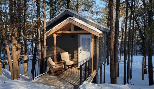 Cozy Up in this Cute Cabin Treehouse with Views of the Bluff Woodlands, Minnesota