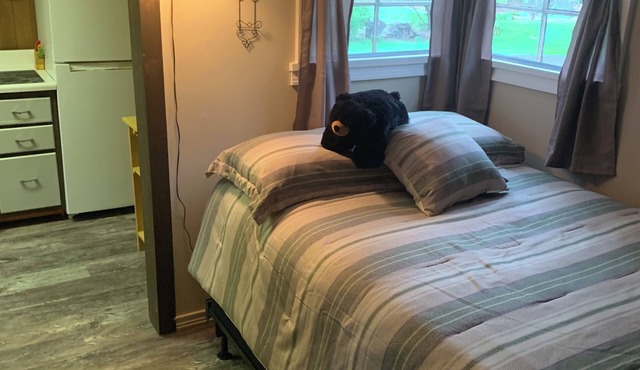 Cozy, upgraded, pet friendly cabin, formerly Cuba Lake Vintage Duck House.