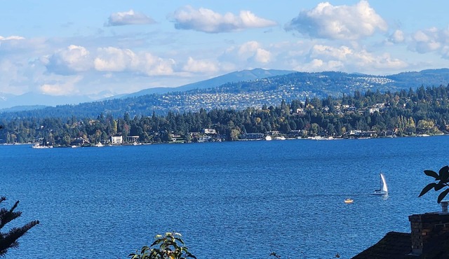 Cozy urban retreat overlooking Lake Washington!