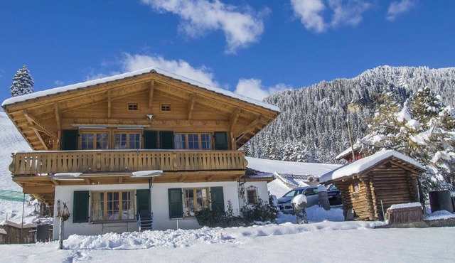 Cozy vacation apartment directly on the "Chuenisbergli" ski slope.