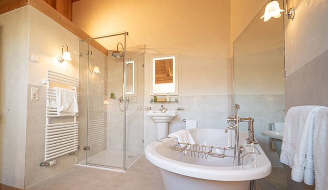 Cozy vacation apartment with 1 bedroom in the Hotel Alpenrose