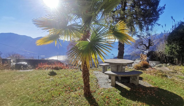 Cozy vacation apartment with lake view, quiet location