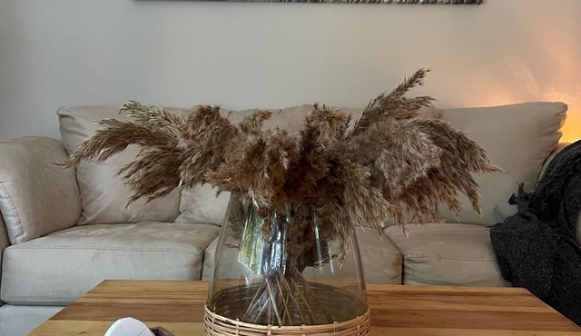 Cozy Vacation home on the River in Creemore