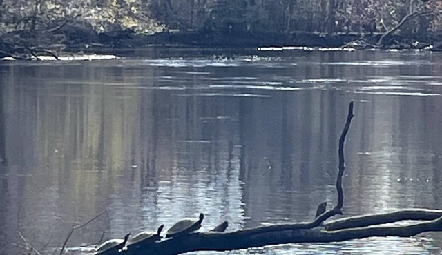 Cozy vacation rental home. Peaceful riverfront on the Santa Fe River