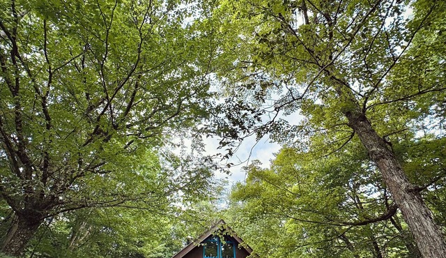 Cozy Vermont Chalet- Nature, Comfort & Adventure.Snuggled on top of Chimney Hill