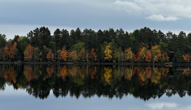 Cozy vintage cabin on a private lake in the Northwoods.