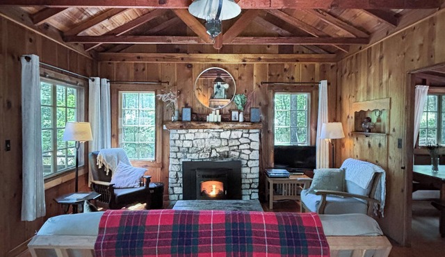 Cozy vintage cabin with fireplace near hot spring