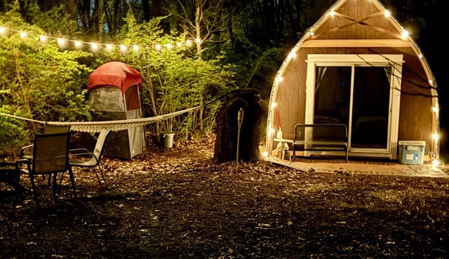 Cozy warm cottage in the woods