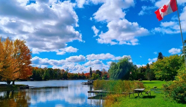 Cozy Waterfront Cottage with Sauna/BBQ/pool/Wifi/Tea House