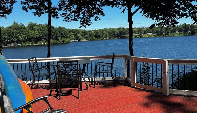 Cozy Waterfront Cottage - 2 private docks, kayaks, pedal boat, grill & firepit!