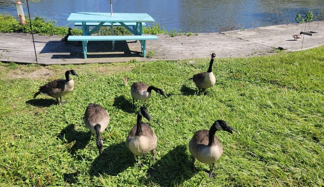Cozy Waterfront Townhome for Concert Goers, Beach Tourists, and Nature Lovers!