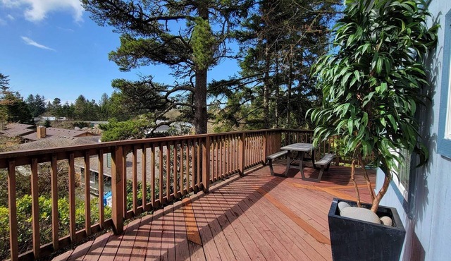 Cozy Westport - Clam - King Tide