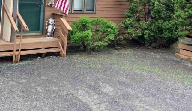 Cozy Windham Condo - Hot Tub. 5 mins to Windham and 15 to Hunter, close to all.