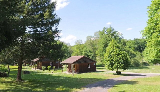 Cozy wooden chalets with terrace on forest edge facing a running stream.