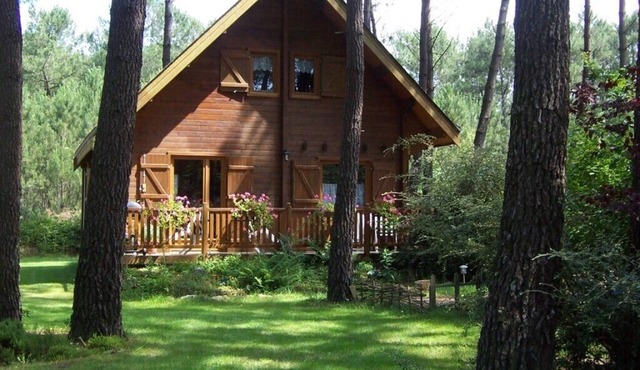 Cozy wooden house in a quiet forest location - pure relaxation in nature