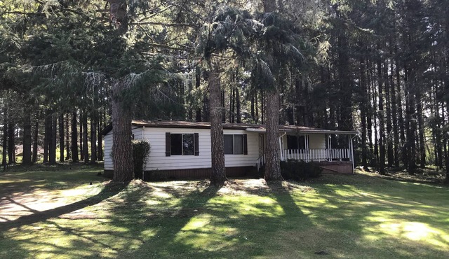 cozy woods cabin with trail to private beach