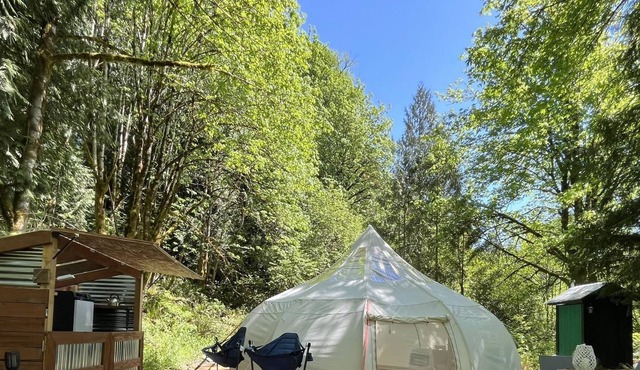 Cozy Yurt Nestled In Private Forest