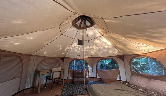 Cozy yurt nestled in a private forest