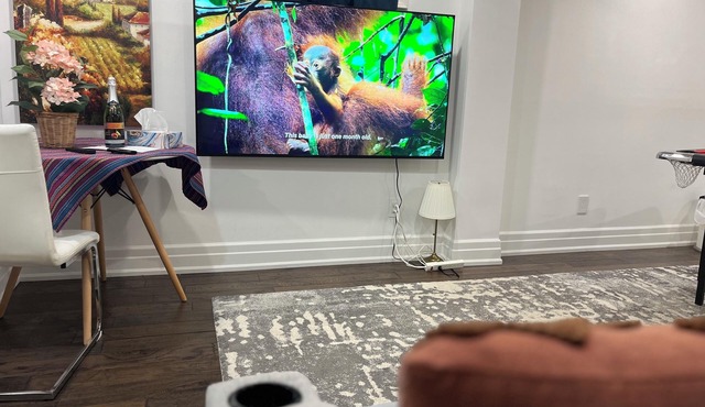 cozy1bedroom Guest suite(1queen bed+1 double Sofa bed,1floor mattress (5Guests)