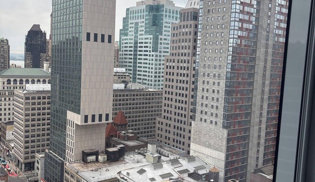 CozyNcute 1-bedroom apartment in downtown Brooklyn steps away from paradise