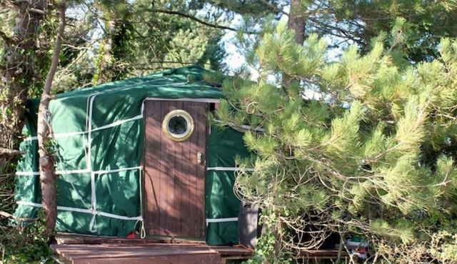 'Crab Shack' Luxury Yurt with Harbour & Sea Views
