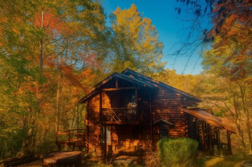 Crabapple-Secluded cabin with pond creek access, hot tube, fire pit in Blue Ridge