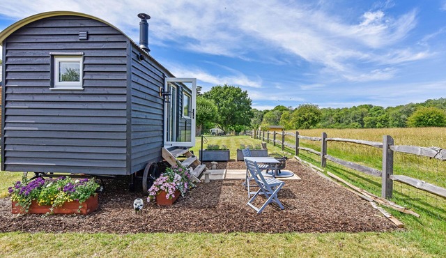 Crabden Shepherd Hut - Blendworth - sleeps 2 guests in 1 bedroom