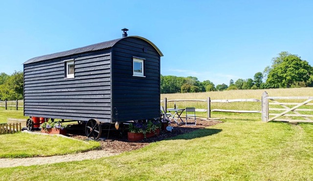 Crabden Shepherd Hut - Blendworth