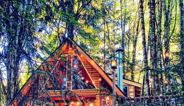 Craftsman European Chalet in the Forest with partial Riverview