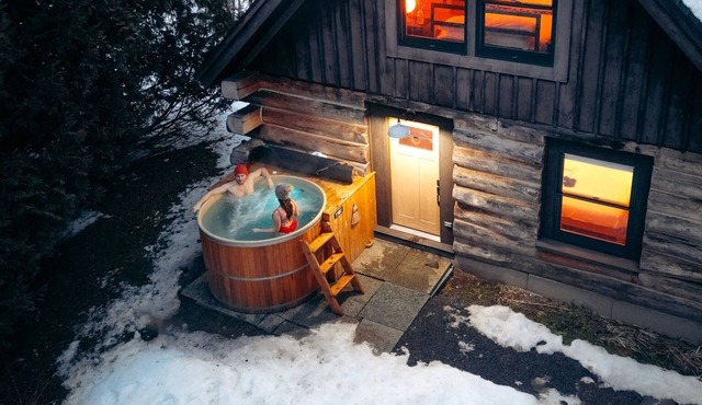 Craftsman Log Cabin Near Whiteface Hot Tub, Sauna & Swimming Hole