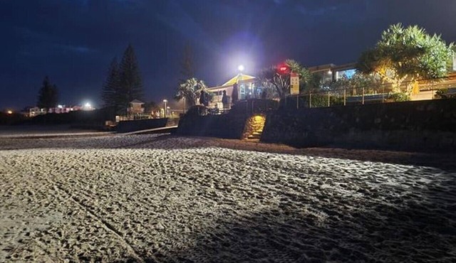 Cranbourne Court 2 Bedroom Beach Side Apartment