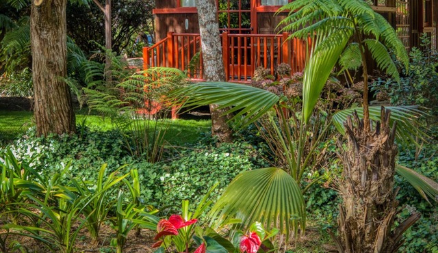 Crater Rim Cabin