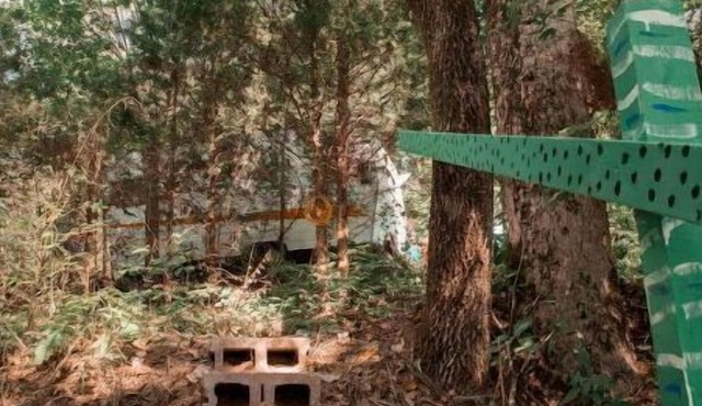 Creature Camp