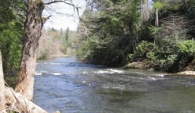 'CREEK-N-AWESOME' Luxury Creek Cabin/Trout Fishing/Hot Tub/PET FRIENDLY