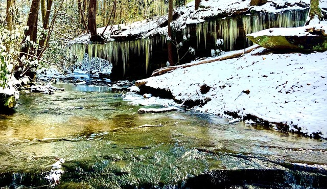 Creek side cabin, Blair Creek Resort - Cabin #2