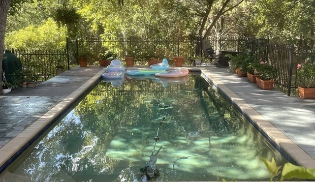 Creek Side Cottage near Lake Austin