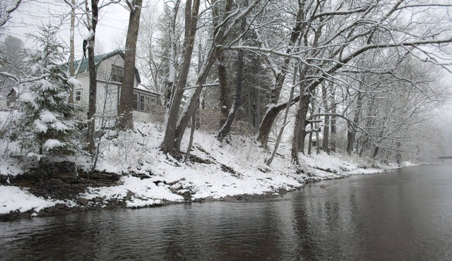 Creek-Side Living In The Pennsylvania Elk Range