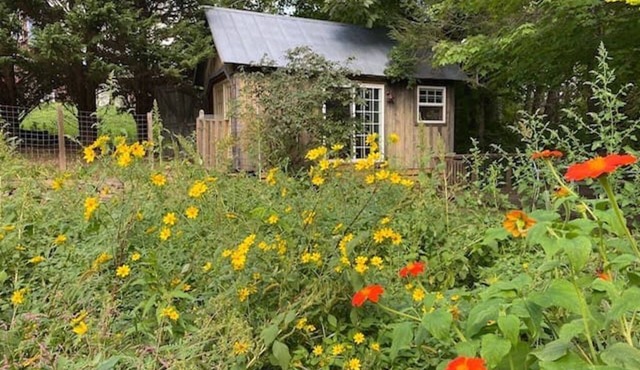 Creek View Cabin at Skipwillow Farm