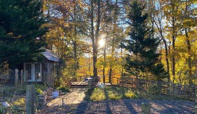 Creek View Cabin at Skipwillow Farm - Floyd, VA