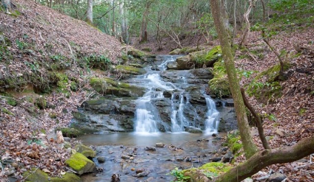 Creekfront Cabin with Waterfall. Hot Tub, Fire Pit, Gameroom, and more.