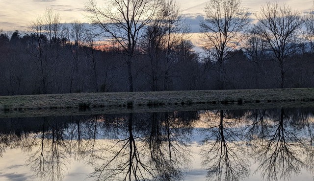 Creekfront! Private ponds for fishing! Mountain views & trails. Pet-friendly