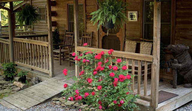 Creekhouse secluded cabin on Creek in the mountains of northern Alabama