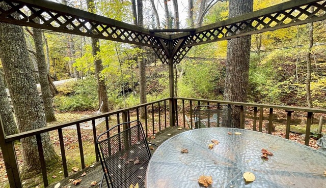 Creekside 4 BR Pet Friendly Cabin w/Hot Tub, Foosball, Fire Pit, WiFi